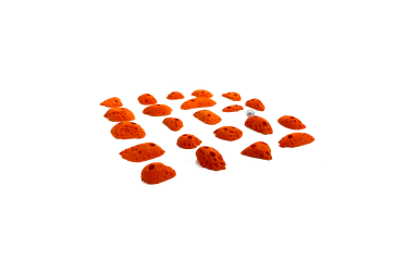 prise escalade osmose lot mini foot orange 3 prise escalade osmose lot mini foot orange 3