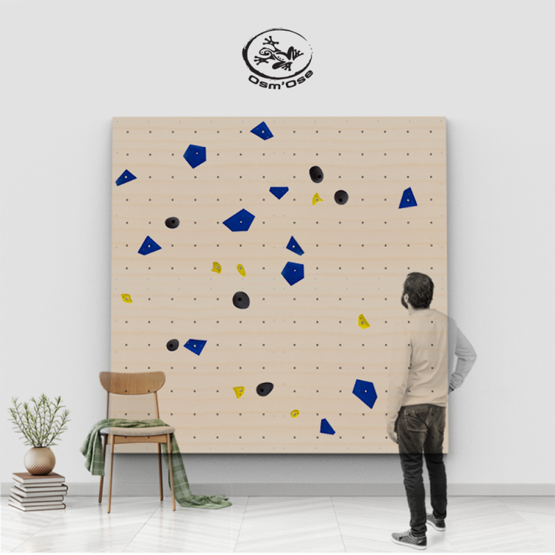 Kit Mur d'escalade brut 2