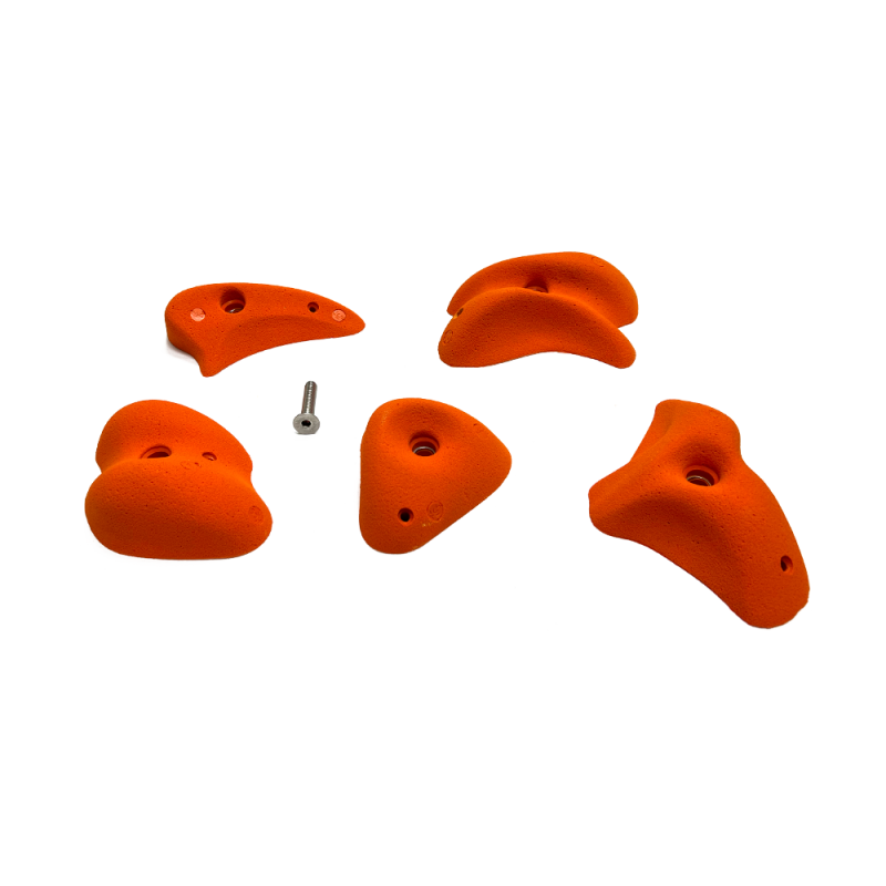 5 prises escalade - asc - L2 2