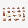 pack Prises escalade -micro-microb pack Prises escalade -micro-microb